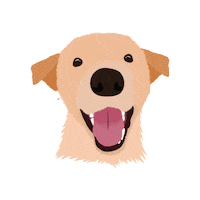 Dog Appa Sticker