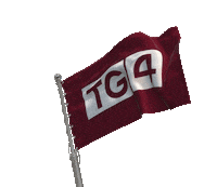 Gaelic Football Sticker by SportTG4