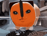 Canmaxxing GIF