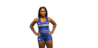 College Sports Bluehens Sticker by Delaware Blue Hens