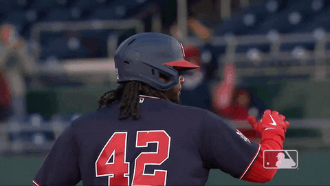 Regular Season Baseball GIF by MLB