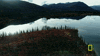 life below zero GIF by National Geographic Channel