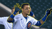 Happy Major League Baseball GIF by MLB