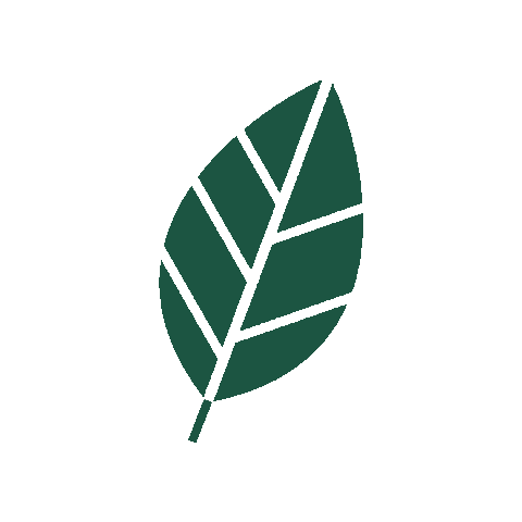 Owolovo giphygifmaker list natura kwiaty Sticker