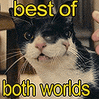 Partiu Cinema Brasileiro GIF by Petrobras