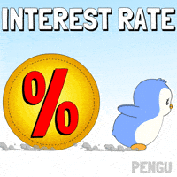 Money Penguin GIF by Pudgy Penguins