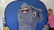 shark week costumes GIF by PBS