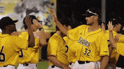 baseball hug GIF by Southern Miss Athletics