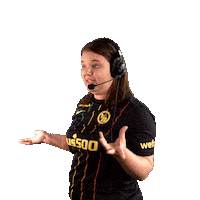 Links Headset Sticker by Radio Gelb-Schwarz