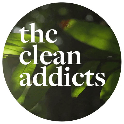 thecleanaddicts giphygifmaker tca the clean addicts GIF