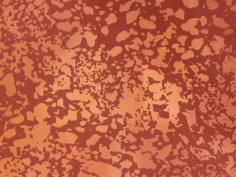 season 8 episode 6 GIF by SpongeBob SquarePants