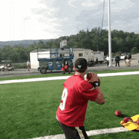 Drew Brees Football GIF