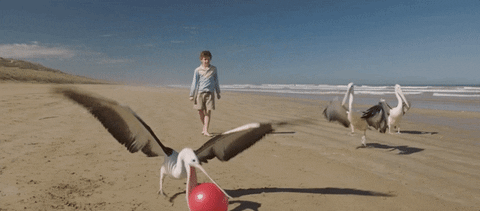 beach play GIF by Good Deed Entertainment