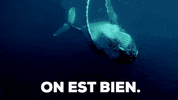 On Est Bien GIF