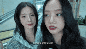 Fun Peace GIF