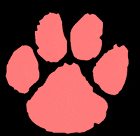 DallastownAreaSchoolDistrict dasd wildcat dtown wildcatnation GIF