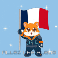 France Football GIF by Hamieverse