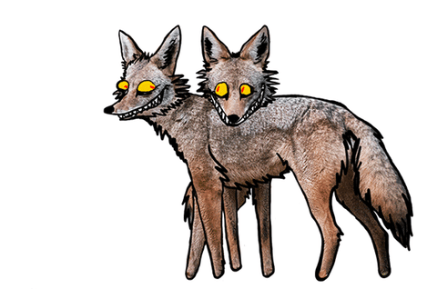 coyote wishbone zoe GIF