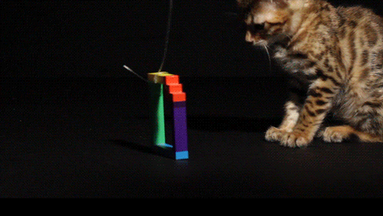 animation cat GIF by Originals