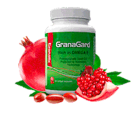 Granagard granada memoria recuerdo proteger Sticker