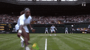 2019 wimbledon sport GIF by Tennis Channel
