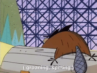 nicksplat angry beaver GIF