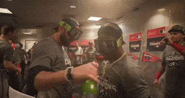 Celebrate World Series GIF by MLB