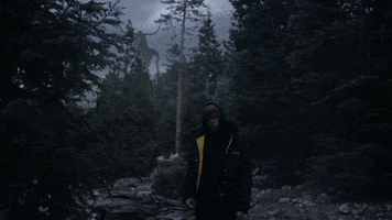 Forest Woods GIF by The Kid LAROI.