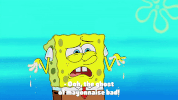 season 9 GIF by SpongeBob SquarePants