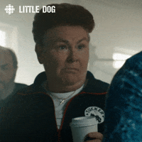 dog yes GIF by CBC