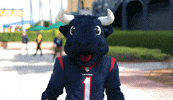 Come On Wtf GIF by NFL