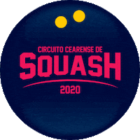 acessquash squash aces acessquash Sticker