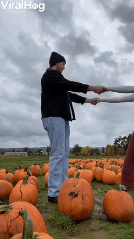Pumpkin Patch Swing Dance Slip