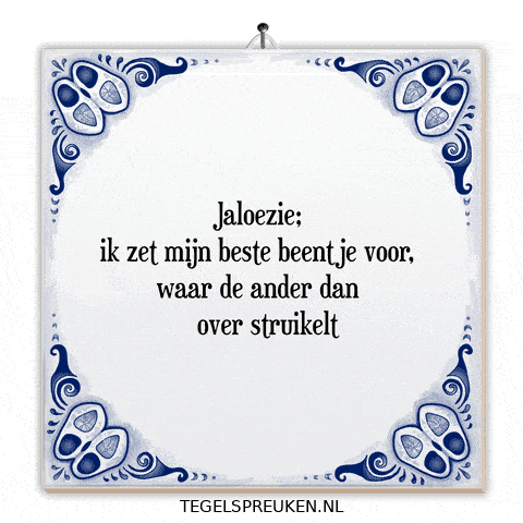 Nl Spreuk GIF by Tegelspreuken.nl