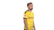 Proud Line Up Sticker by Bundesliga