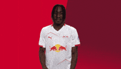 Football Soccer GIF by RB Leipzig