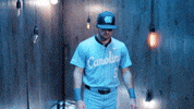 University Of North Carolina Baseball GIF by UNC Tar Heels