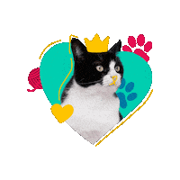 Pet Month Sticker by Cronos Logistics