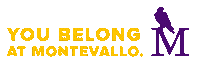 School Spirit Vallo Sticker by University of Montevallo