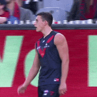 come on yes GIF by Melbournefc