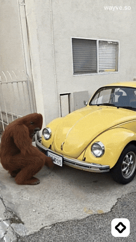 Mood Feels GIF by Darwin