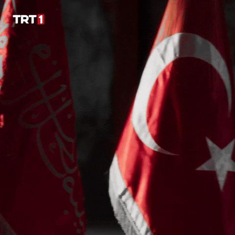 19 Mayıs Turkey GIF by TRT
