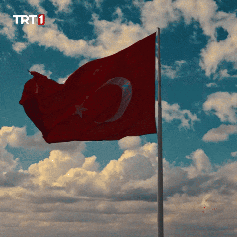 19 Mayıs Turkey GIF by TRT