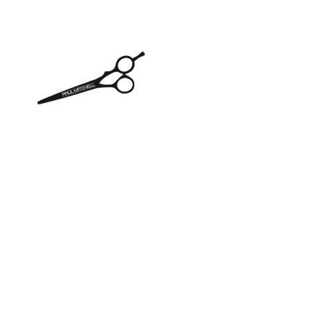 cut cutting Sticker by Paul Mitchell
