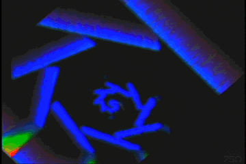 video art glitch GIF