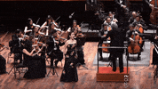 Classical Music Istanbul GIF by BORUSAN SANAT