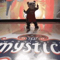 GIF by Washington Mystics