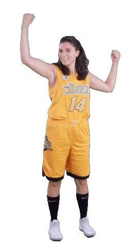 Basketball Power Sticker by ACSL - Austrian College Sports League