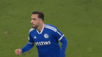 Football Soccer GIF by FC Schalke 04