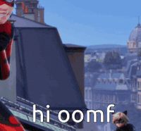 Chat Noir Mlb GIF